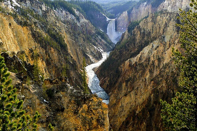 Yellowstone_pixabay_mardistas