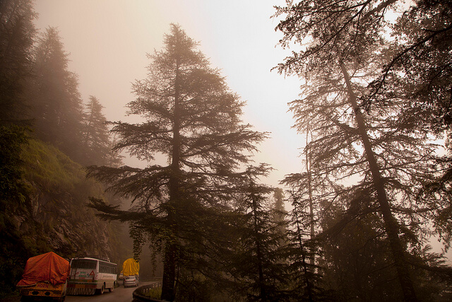 10 most amazing hill destinations for road trip in India